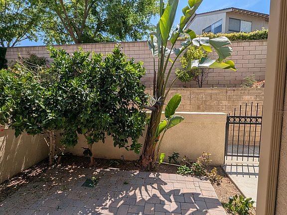 Front yard with orange tree.