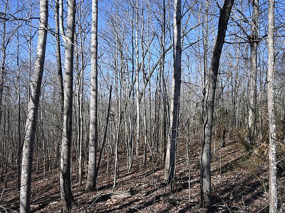 5th image of 2172 Airport Ridge Rd #1