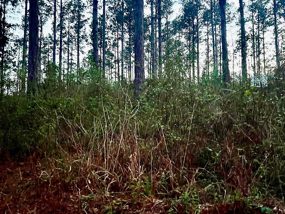 2nd image of 3341 County Road 1095