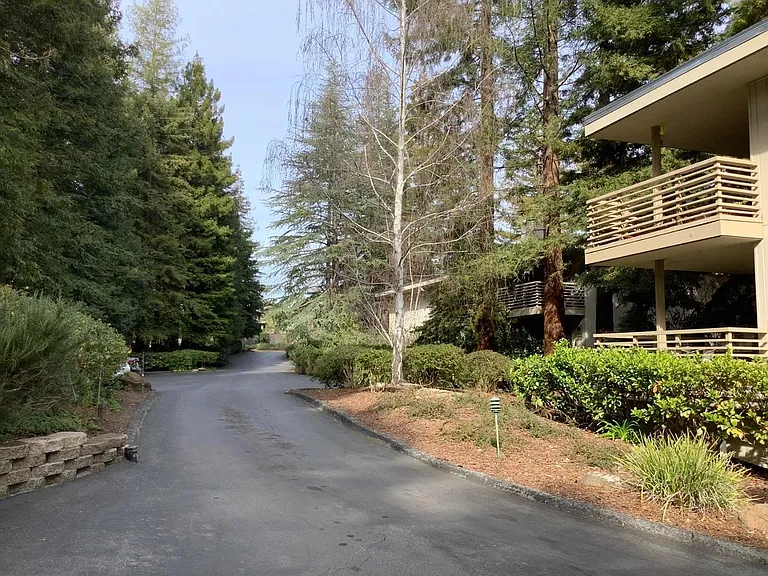 1100 Sharon Park Dr #41 — Photo 3
