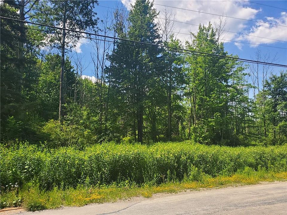 2nd image of Knoyle Rd