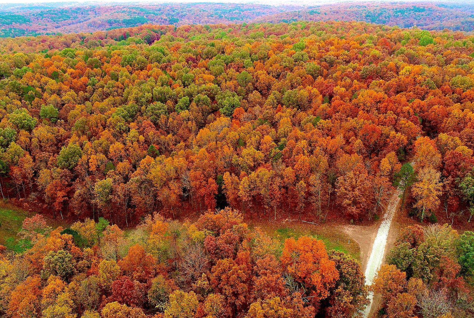 28 Boiling Springs Rd Tract 28, Licking, MO 65542 | Zillow