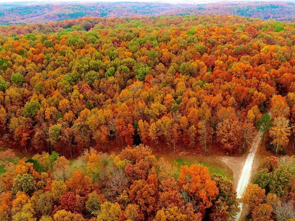 28 Boiling Springs Rd Tract 28, Licking, MO 65542