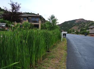 17264 Red Wolf Ln, Morrison, CO 80465