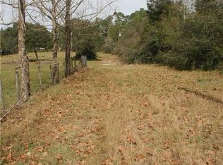 Equine Path, Lake Helen, FL 32744