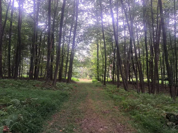 0 Hunter Ridge Rd, Bellefonte, PA 16823