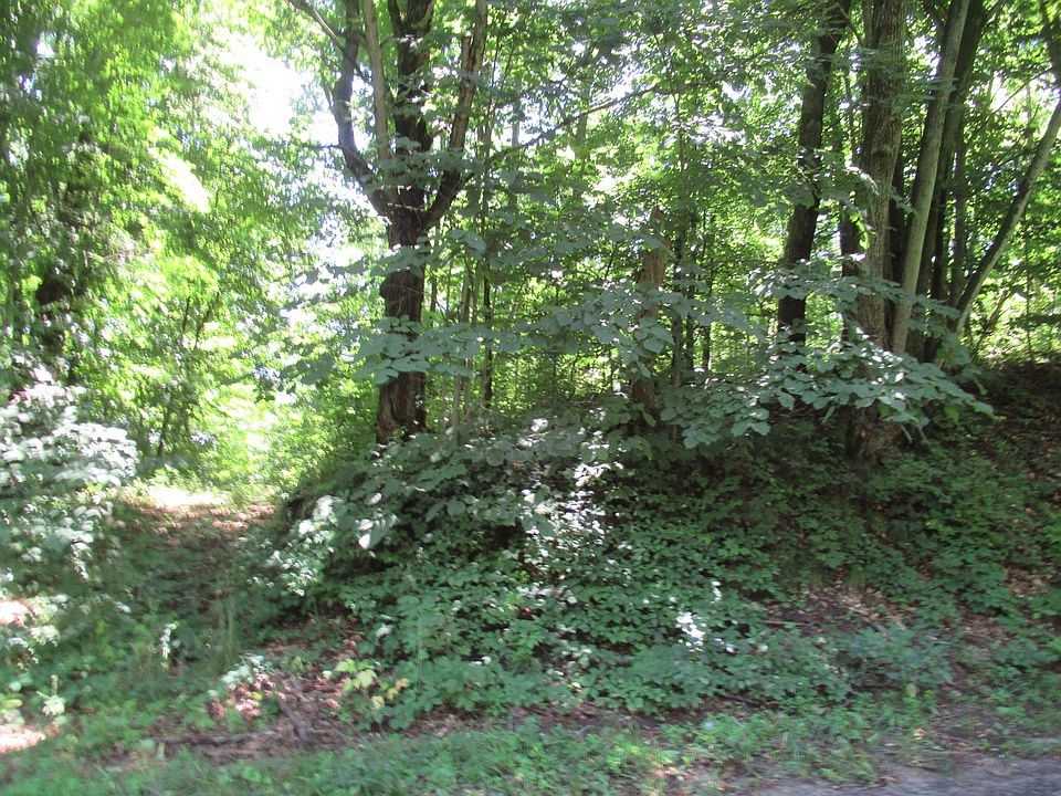 2nd image of Dutch Settlement St