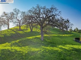 481 El Alamo, Danville, CA 94526