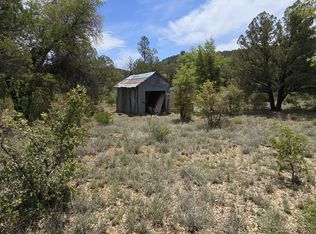 1X S Forest Svc Rd #134-B, Young, AZ 85554