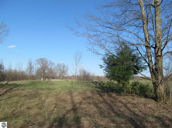 0 90th Ave, Evart, MI 49631