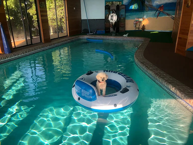 Lifeguard on duty
