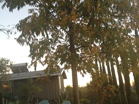 2nd image of 2200 Alta Vista Dr