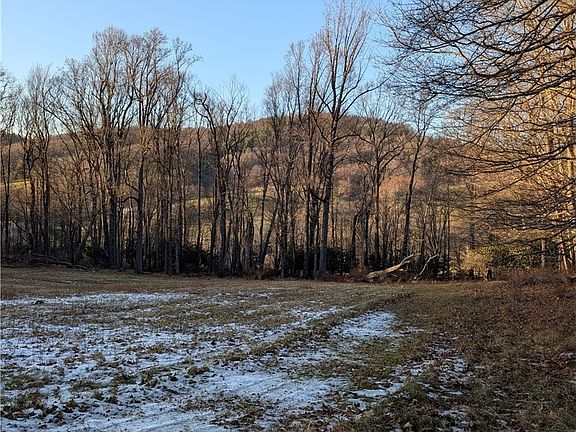 5th image of TBD Bledsoe Creek Road