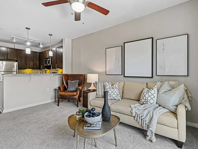 Open Concept Layouts
