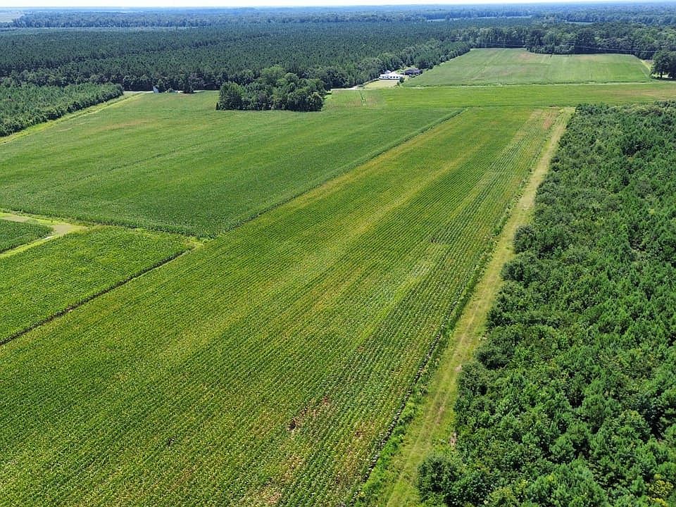 Dji Fly 20260801 120840 150 1785683740639 Photo Optimized