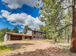1467 Vigilante Ave, Bailey, CO 80421