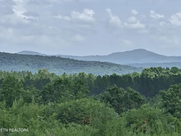 Owl Ridge Way, Sunbright, TN 37872