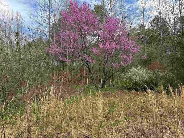 430 Pumpkin Center Cir, Quitman, AR 72131