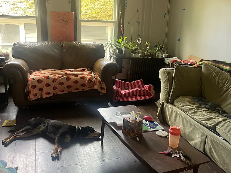 203 Pleasant St — Photo 4
