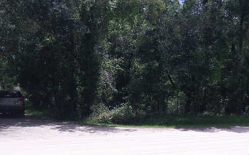 1st image of 9201 Fruitdale Ct