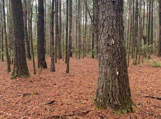 SE McCray Rd, Mayo, FL 32066