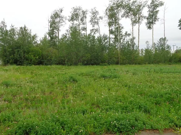 29 Chonkolay Dr, High Level, AB T0H 1Z0