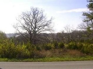 460 Coy Blvd, Forsyth, MO 65653