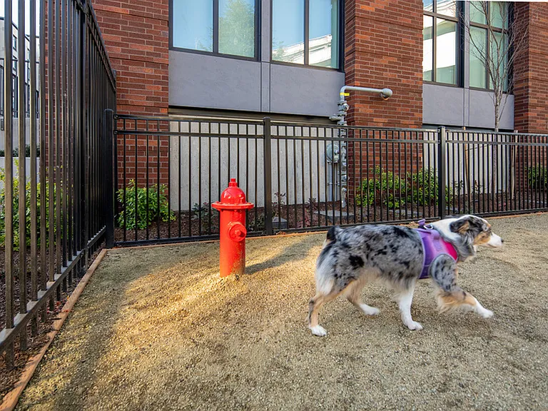 Millhouse — Photo 25