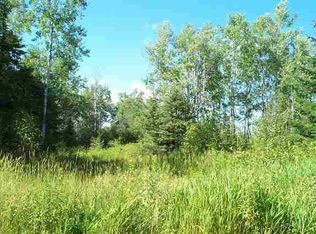 0 Tar Paper Aly, Pt Wing, WI 54865