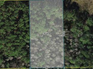 Polk City Lot 209, Polk City, FL 33868