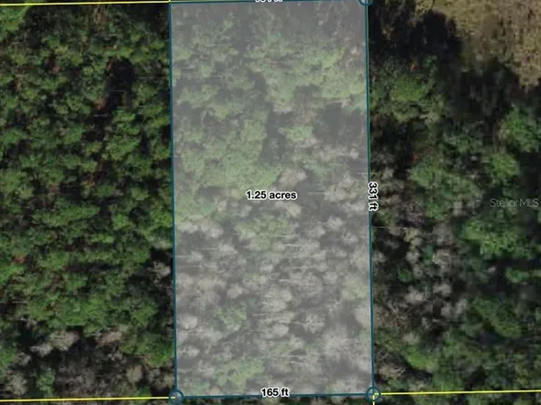 Polk City Lot 209, Polk City, FL 33868