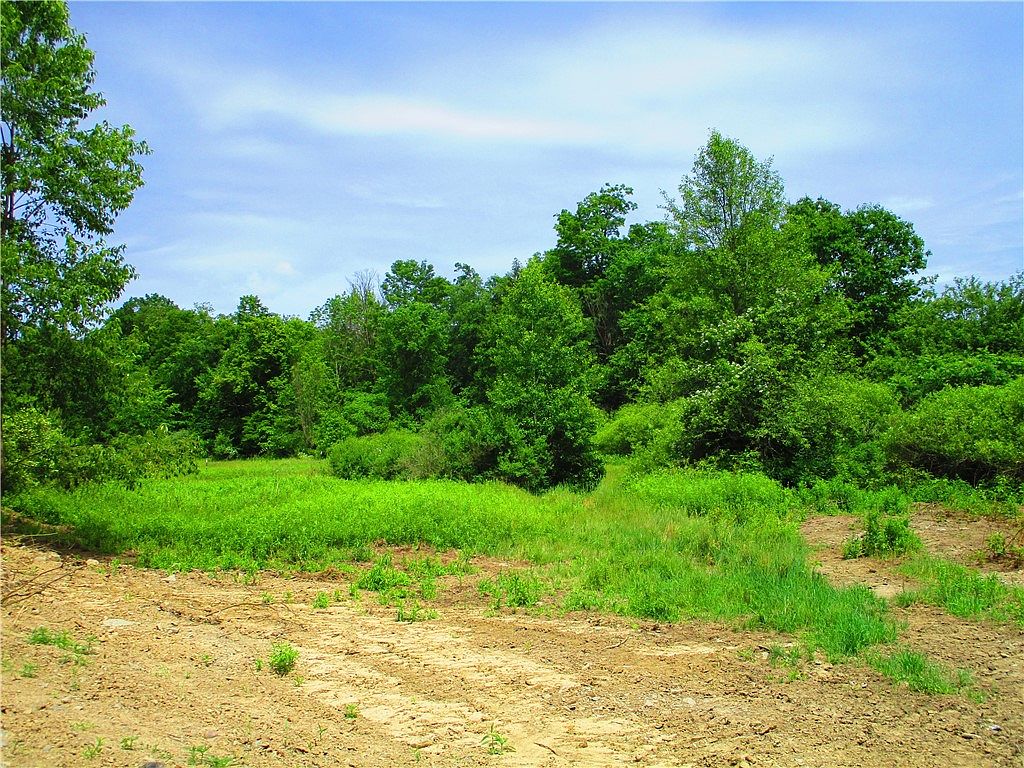 0 State Highway 7, Afton, NY 13730 Zillow