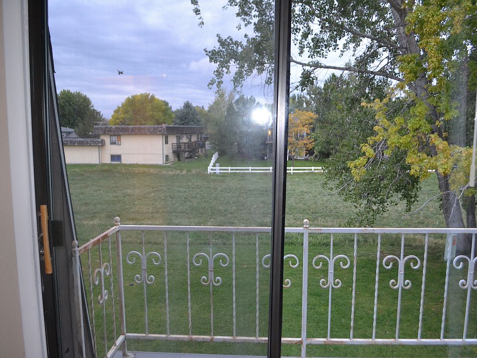 View of backyard