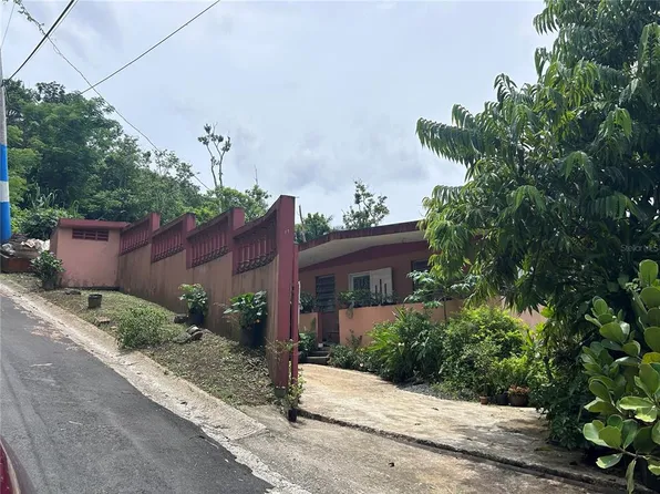 State Highway 777 16 Int #Km, Aguas Buenas, PR 00703