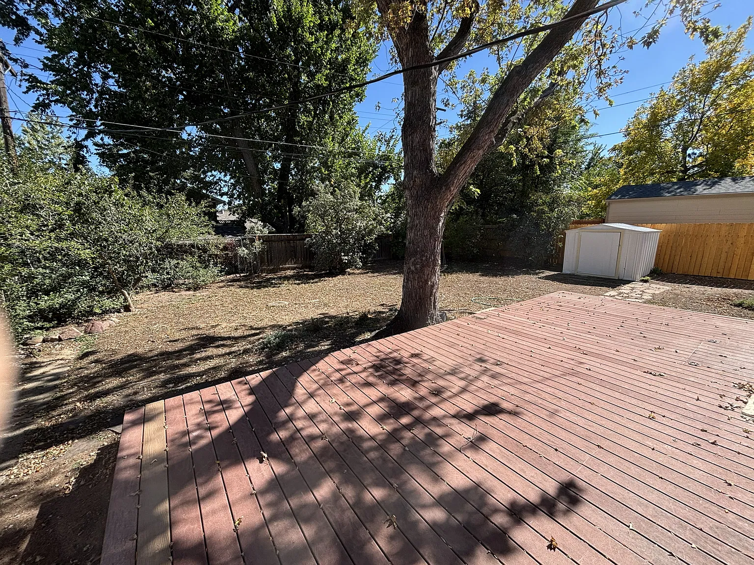 3 bed, 1200 sqft, $3,000 — Photo 3
