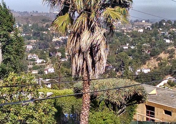 3rd image of 3204 Bonnie Hill Dr