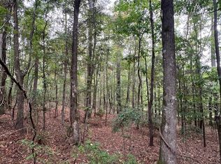 0 Jim Jones Rd LOT WP001, Cottondale, AL 35453