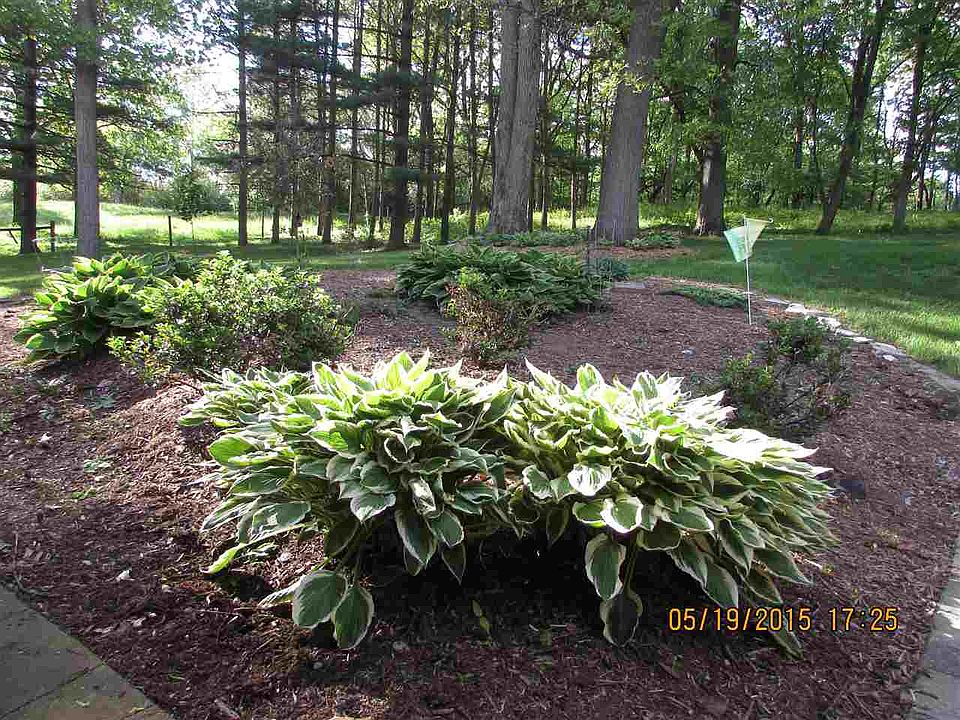 1st image of 55281 County Road 31