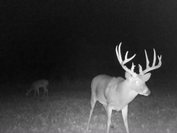 000 H Highway, El Dorado Springs, MO 64744