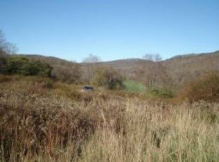 569 Big Hollow Rd, Deposit, NY 13754