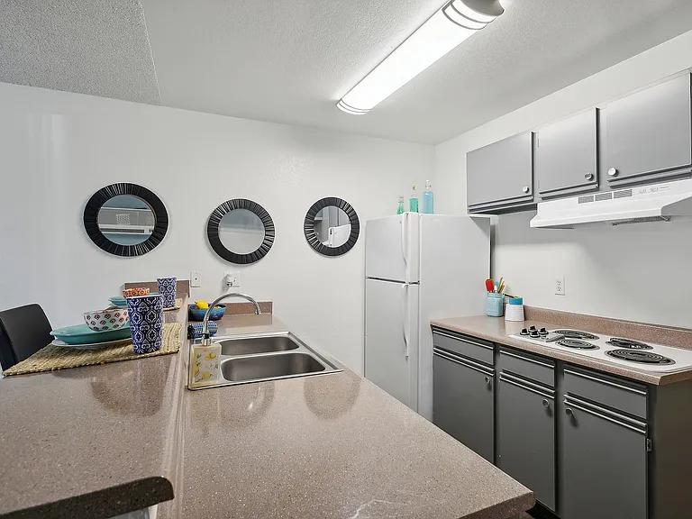 Model Unit