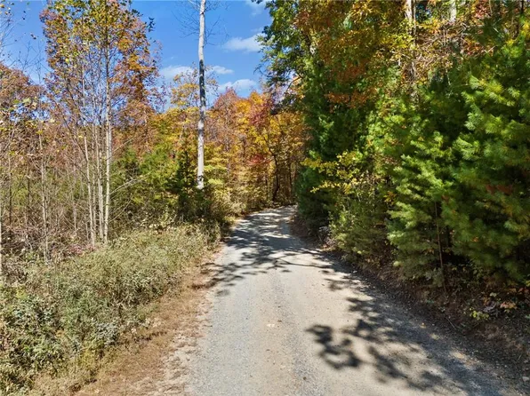 16.31 Old Burnt Mountain Rd #1, Ellijay, GA 30536