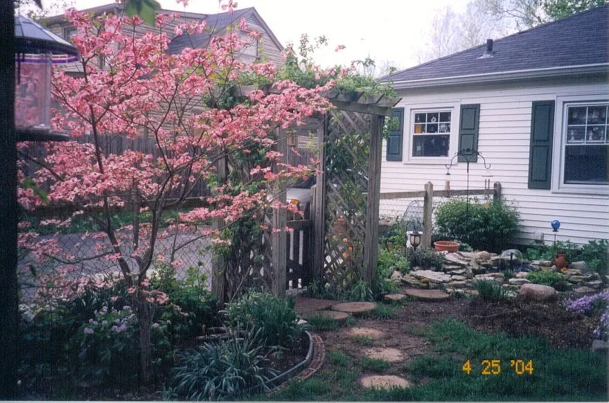 5851 Cadillac Dr photo 1