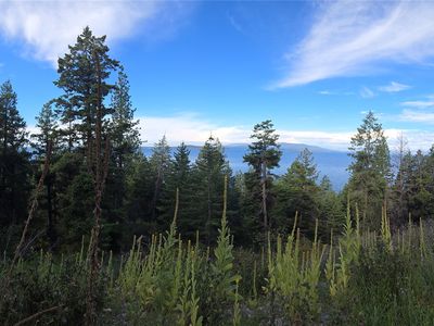 28275 Liebig Ln, Polson, MT, 59860