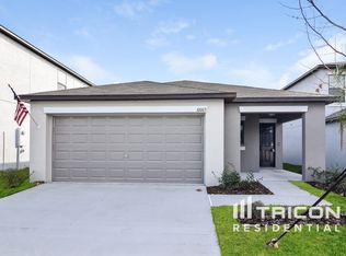 10003 Rosemary Leaf Ln, Riverview, FL 33578