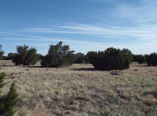 73 County Road 5101, Concho, AZ 85924