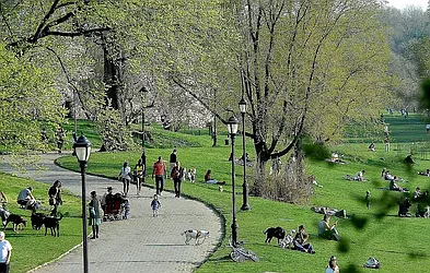 Rented by Leasing Management LLC