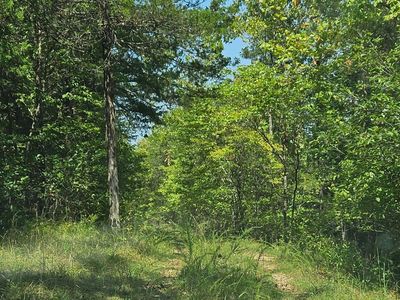 000 Homestead Cedar Hills, Theodosia, MO, 65761