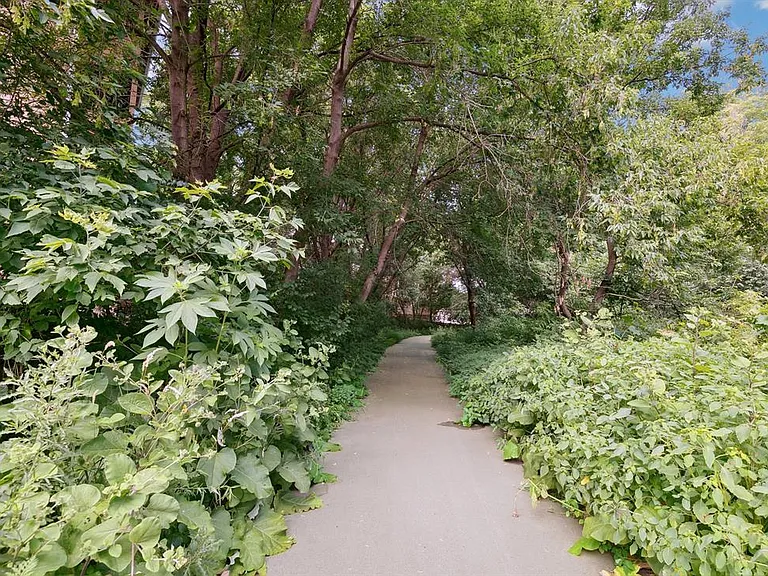 The Views of Minnetonka — Photo 22