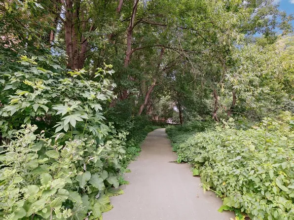 The Views of Minnetonka